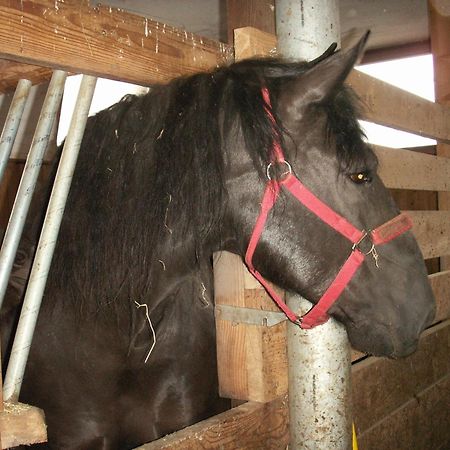Ferienhof Woelflbauer Saalbach-Hinterglemm Bagian luar foto
